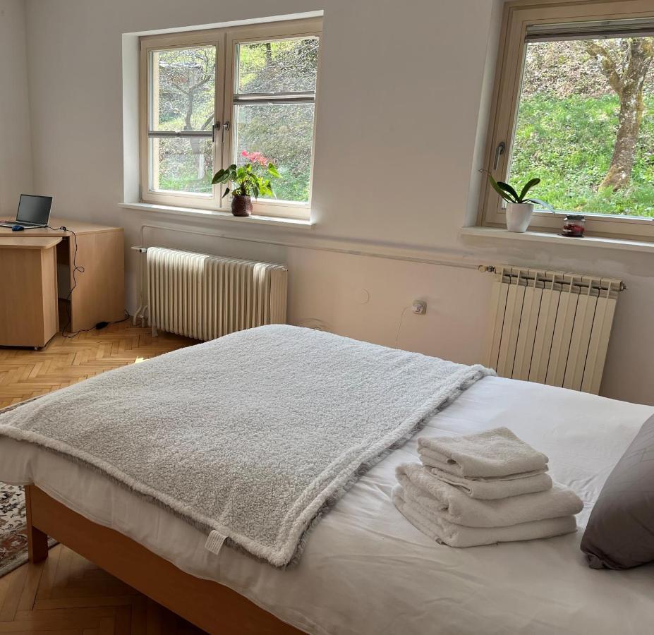Lovely 2-Bedroom Appartment With Free Parking Dobrova Bagian luar foto