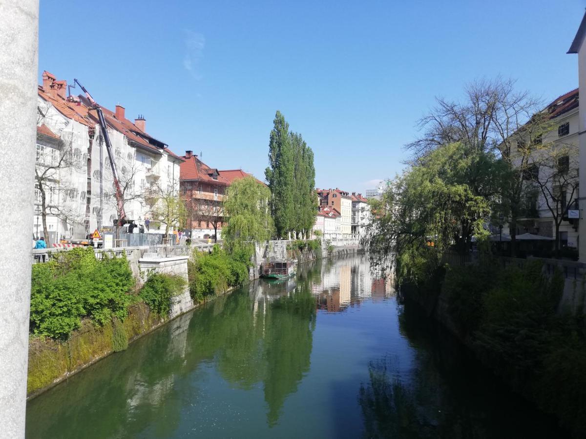Lovely 2-Bedroom Appartment With Free Parking Dobrova Bagian luar foto