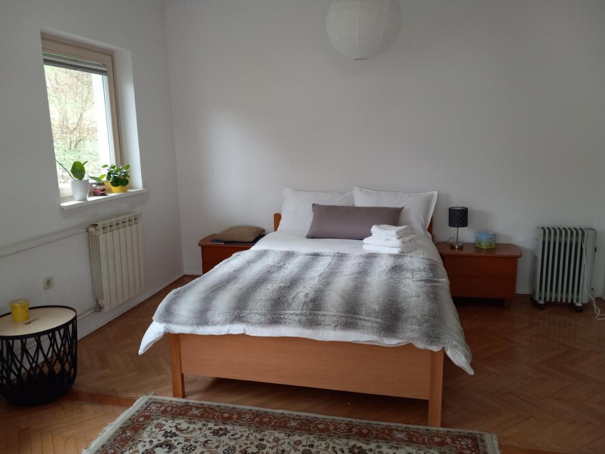 Lovely 2-Bedroom Appartment With Free Parking Dobrova Bagian luar foto